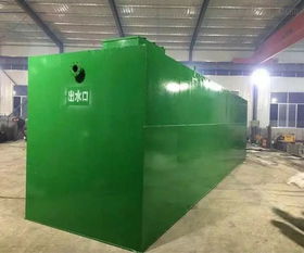 WSZ-0.3型500工廠生活污水處理設(shè)備生產(chǎn)廠家報價及智能制造與伺服電機(jī)應(yīng)用解析